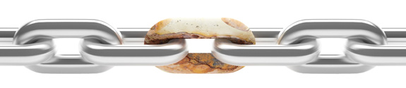 describe the image