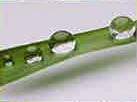 hydrophobicity_moisture_whitepaper.jpg