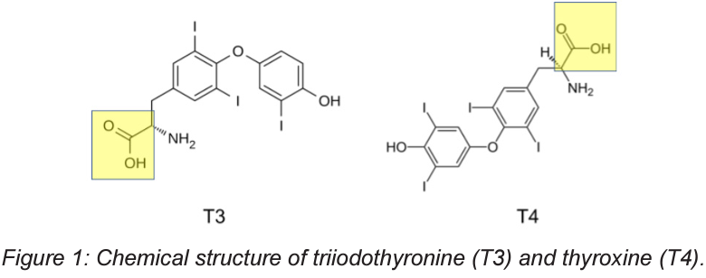 Analyte Carryover TI