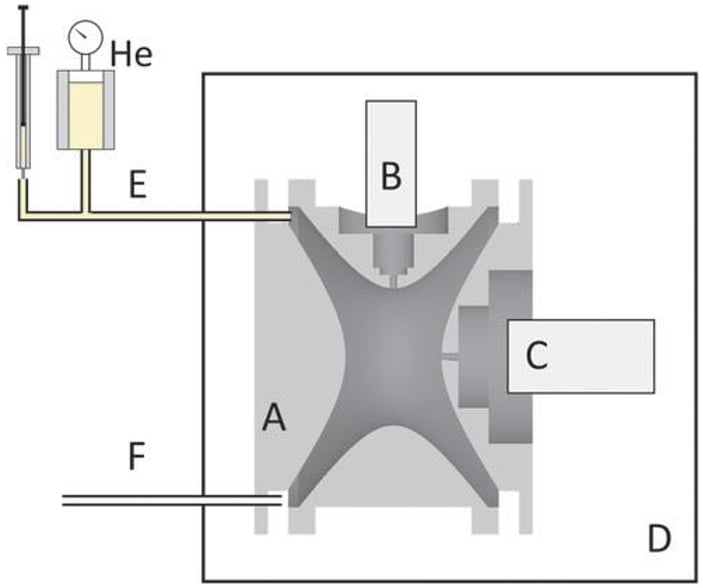 Fatty Acid test diagram