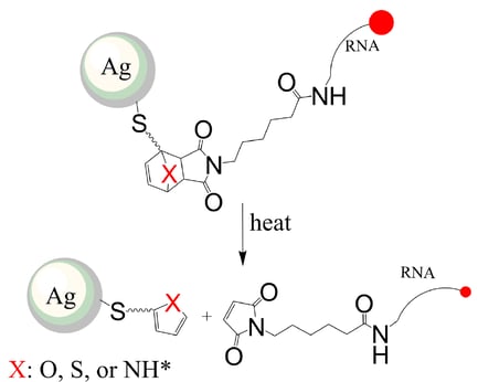 RNA molecule HPLC figure 2