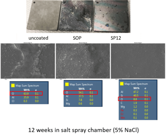 SP12 salt fog testing-1