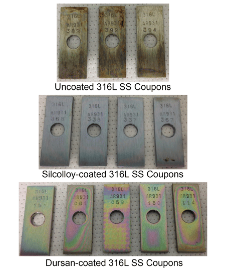 Salt Spray Coupons