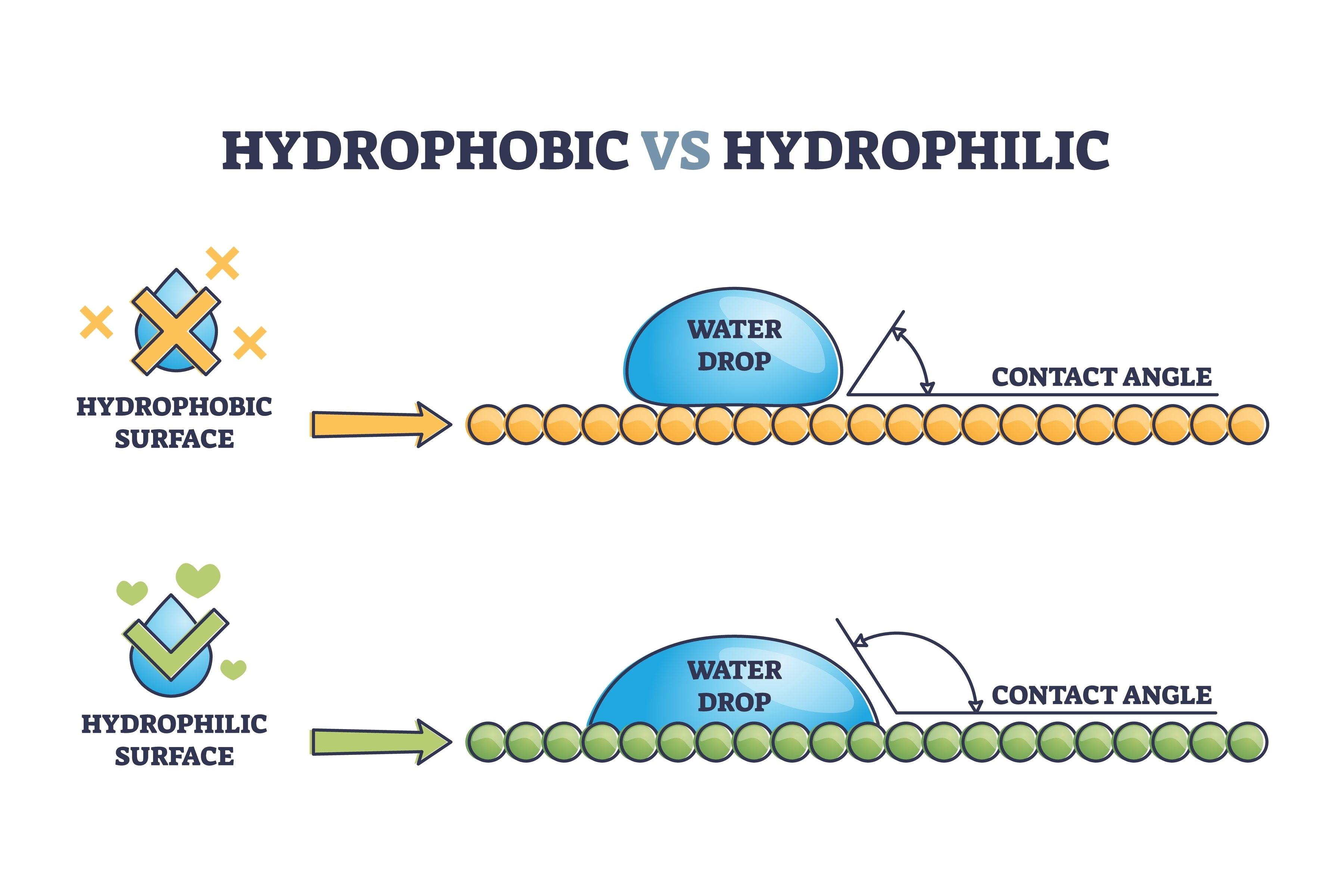 hydrophobic vs hydrophilic