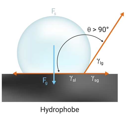 hydrophobic