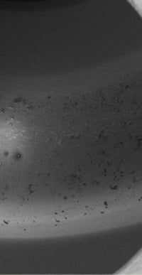 Post_seal_FSEM_Surface