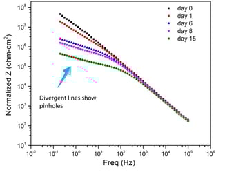 Salt_exposure_stainless_steel-249687-edited.jpg
