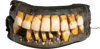 large_dentures-transparent.png