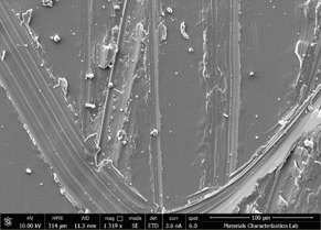 SEM image of scratched surface