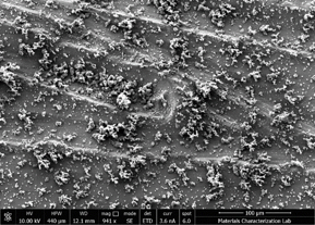 SEM showing nanowire growth