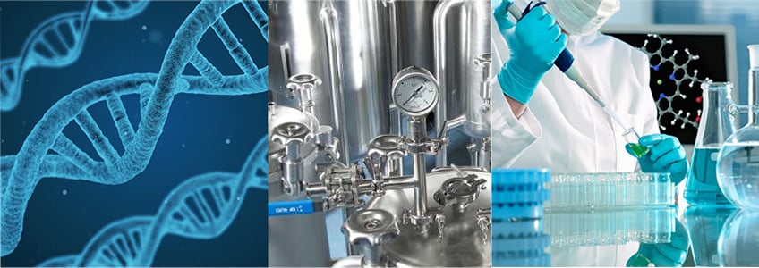 rouging bio pharma header